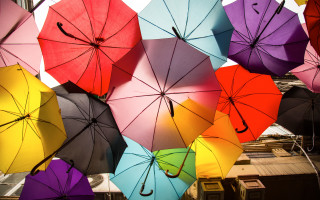 assorted color umbrellas 1486861